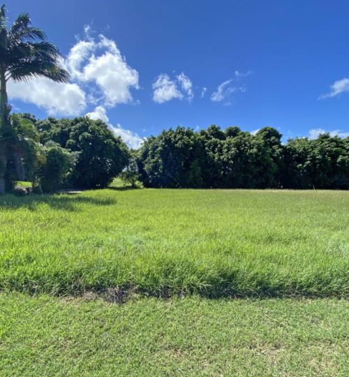 Apes Hill Polo Estate – Lot 6