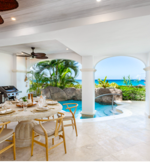 Old Trees – The Palms