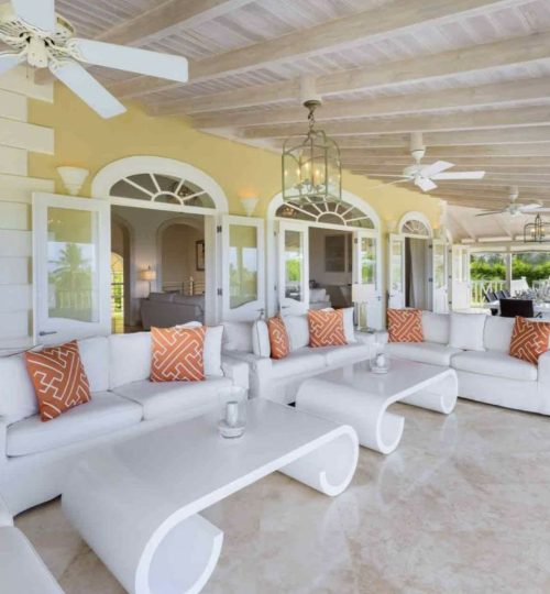 Sugar Hill – Bananaquit