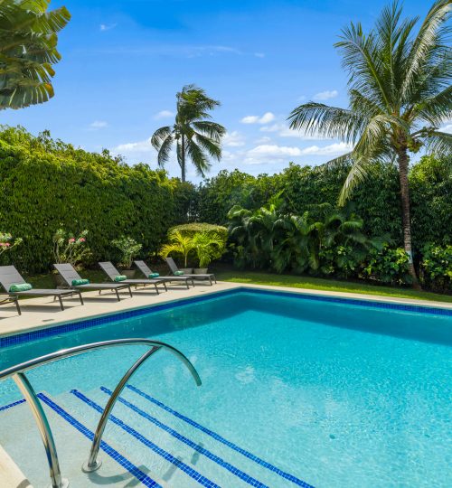 Sunset Crest – Tilting Trees